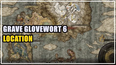 Grave Glovewort 8 Location in Elden Ring. . Grave glovewort 6